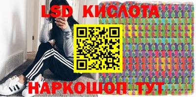 стафф Бийск