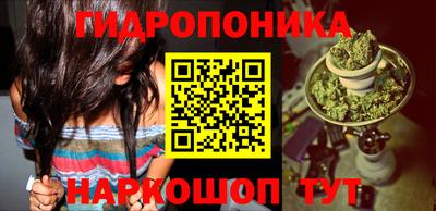 стафф Бийск